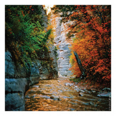 Фотопленка цветная KODAK Professional Ektar 100 ISO тип 135=35 мм / 36 (04/2027) Фотопленка цветная KODAK Professional Ektar 100 ISO тип 135=35 мм / 36 (04/2027)